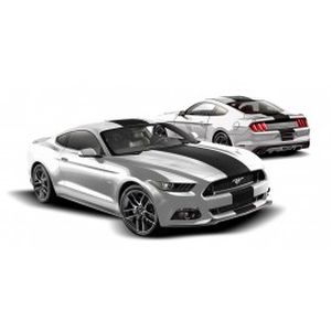 Ford Graphics, Stripes, and Trim Kits - Custom Stripe Kit, Over -the-Top, Single Stripe, Gloss White VFR3Z-6320000-M