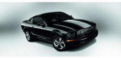 Ford Racing Stripes - Silver 8R3Z-6320000-AJ