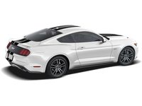 Ford Mustang Graphics, Stripes, and Trim Kits - VGR3Z-6320000-B