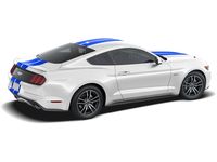 Graphics, Stripes, and Trim Kits