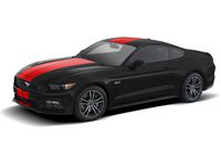 Ford Mustang Graphics, Stripes, and Trim Kits - VGR3Z-6320000-F