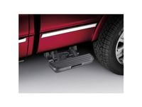 Ford F-150 Side Step - FL3Z-1520040-D