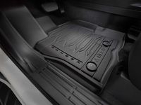 Ford Floor Mats - LB3Z-2613300-AA