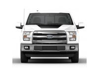 Ford F-150 Graphics, Stripes, and Trim Kits - VFL3Z-9920000-F