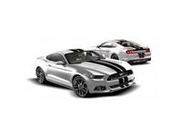 Ford Mustang Graphics, Stripes, and Trim Kits - VFR3Z-6320000-K