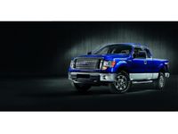 Ford F-150 Grilles - CL3Z-8200-CB