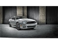 Ford Mustang Grilles - DR3Z-8200-BE