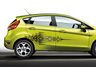 Ford Fiesta Graphics, Stripes, and Trim Kits