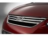 Ford Fiesta Grilles