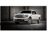 Ford F-150 Grilles
