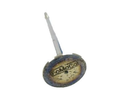 Ford F-350 Super Duty Intake Valve - BC3Z-6507-A