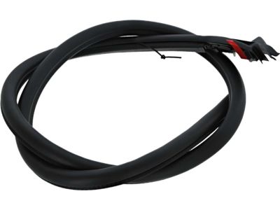 Ford Mustang Weather Strip - FR3Z-7620708-A