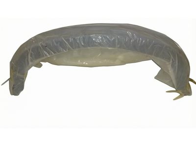 Ford Taurus Bumper - 2F1Z-17D957-BCCP