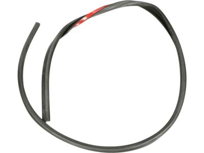 Ford Transit Connect Door Seal - 2T1Z-1551823-C