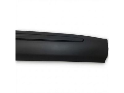 LB5Z-7820878-AC Ford Door Outside Moulding Product Photo 3 of 4