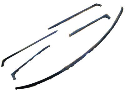 Ford EOTZ-1003137-A Moulding - Windshield