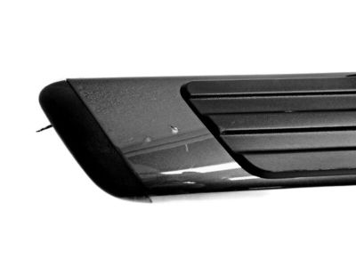 Ford BL3Z-16450-AAPTM Step Assembly