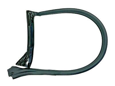 Ford 4R3Z-6320708-AA Weatherstrip Assy - Door Opening