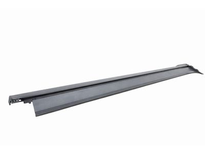 LJ7Z-7810176-BB Ford Moulding Product Photo 2 of 4