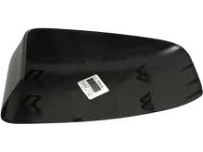 2003 Ford Expedition Mirror Cover - 2L1Z-17D742-AA