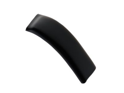 Ford F81Z-2551729-AAP