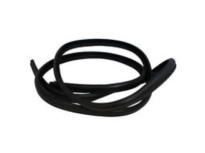 2002 Ford Expedition Door Seal - F75Z-7820708-AB