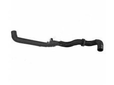 2019 Ford EcoSport Cooling Hose - GN1Z-8286-Q