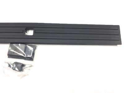 Ford FL3Z-9940602-B Moulding