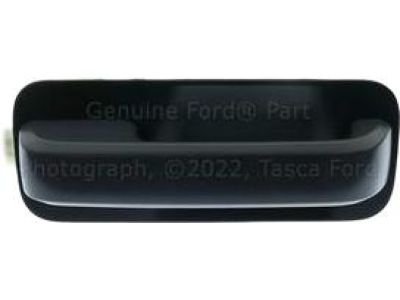 2019 Ford F-350 Super Duty Door Handle - HC3Z-2522404-CCPTM