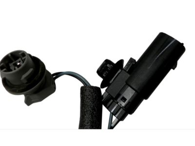 Ford Escape Light Socket - CJ5Z-13410-C