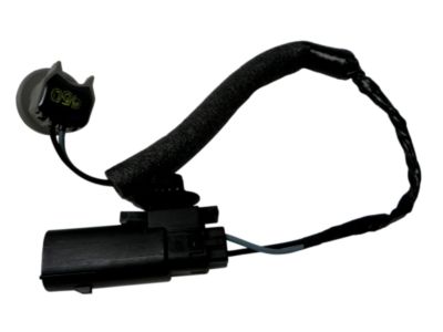 Ford Escape Light Socket - CJ5Z-13410-C