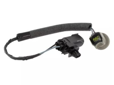 Ford Escape Light Socket - CJ5Z-13410-C