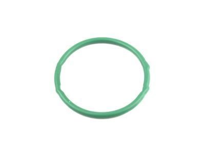 Lincoln LS Fuel Pump Tank Seal - XW4Z-9276-AB