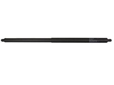 Ford Escape Trunk Lid Lift Support - CJ5Z-78406A10-B