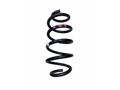2019 Ford Transit Connect Coil Springs - KV6Z-5560-P