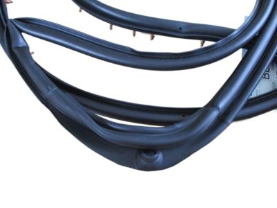 Ford 1L2Z-7825324-AA Weatherstrip