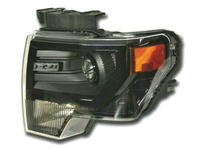 Ford DL3Z-13008-FB Lamp Assembly