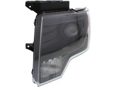 Ford DL3Z-13008-FB Lamp Assembly