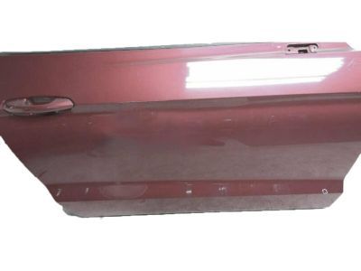 Ford FR3Z-6320124-A Door Assembly - Front