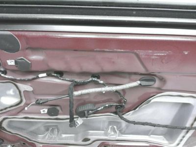 Ford FR3Z-6320124-A Door Assembly - Front