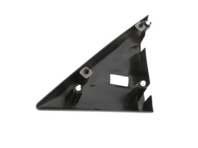 Ford CK4Z-16004-CA Moulding