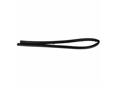 Ford Police Interceptor Sedan Weather Strip - DG1Z-16B990-A