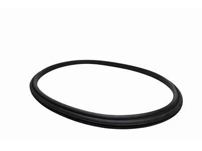 2001 Ford Explorer Weather Strip - F1TZ-98305A27-A