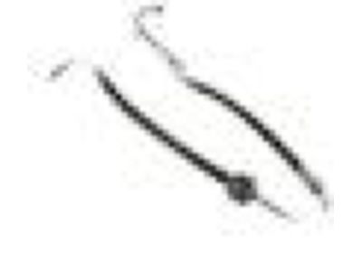 2010 Ford F-150 Power Steering Hose - AL3Z-3A719-A