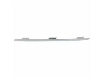 LC5Z-17E810-AA Ford Bumper Grille Product Photo 1 of 1