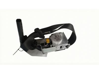 Ford LB5Z-78611B09-AA