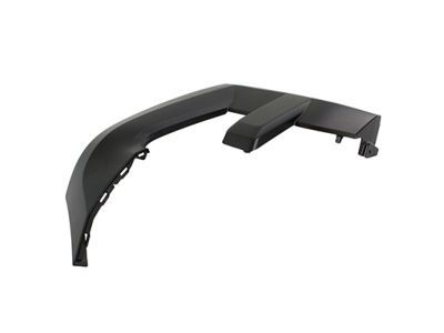 Ford FL3Z-17C755-BPTM Moulding - Bumper Bar