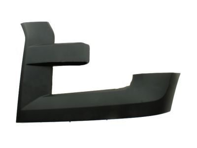 Ford FL3Z-17C755-BPTM Moulding - Bumper Bar