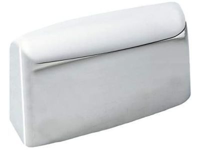 Ford F-150 Mirror Cover - 8L3Z-17D742-AA