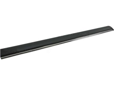 2013 Lincoln MKS Door Moldings - 8A5Z-5420879-AA